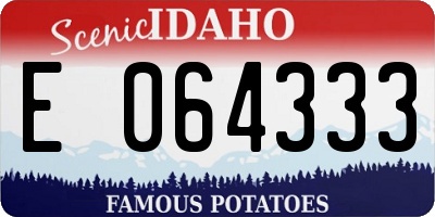 ID license plate E064333