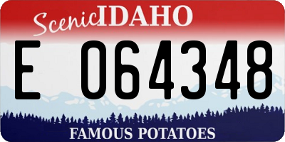 ID license plate E064348