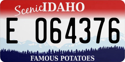 ID license plate E064376