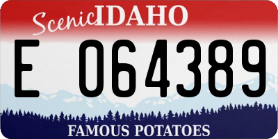 ID license plate E064389