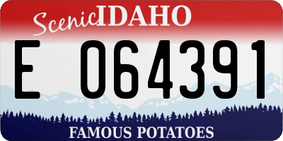 ID license plate E064391