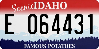 ID license plate E064431