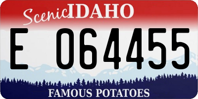 ID license plate E064455