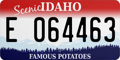 ID license plate E064463