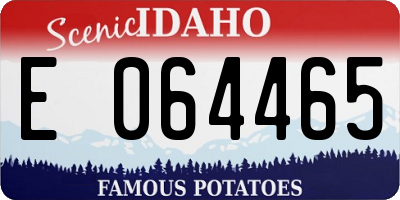 ID license plate E064465
