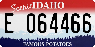 ID license plate E064466