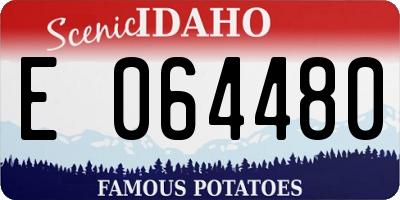 ID license plate E064480