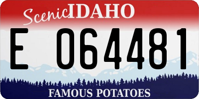 ID license plate E064481