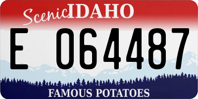 ID license plate E064487