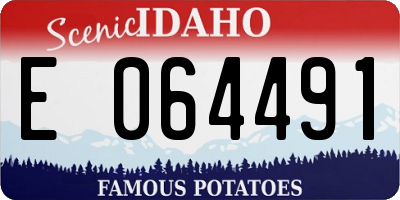 ID license plate E064491