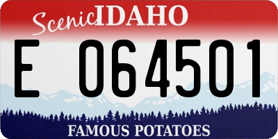 ID license plate E064501