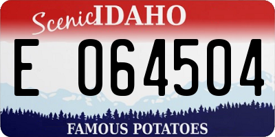 ID license plate E064504