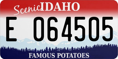 ID license plate E064505