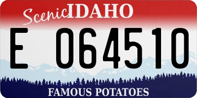 ID license plate E064510