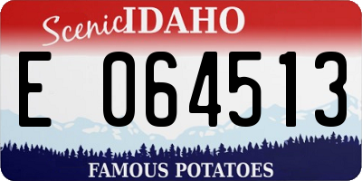 ID license plate E064513