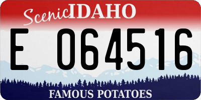 ID license plate E064516