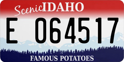 ID license plate E064517