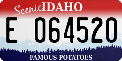 ID license plate E064520