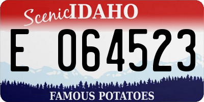 ID license plate E064523
