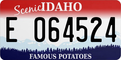ID license plate E064524