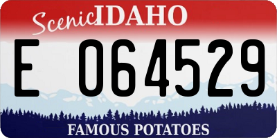 ID license plate E064529