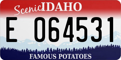 ID license plate E064531