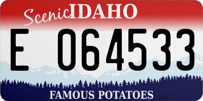 ID license plate E064533