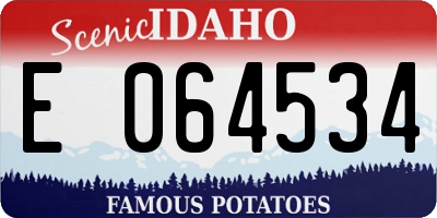ID license plate E064534