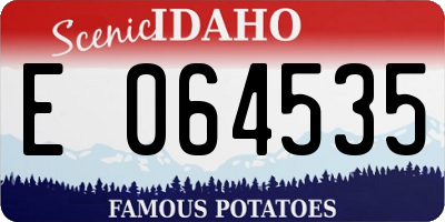 ID license plate E064535