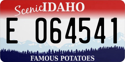 ID license plate E064541