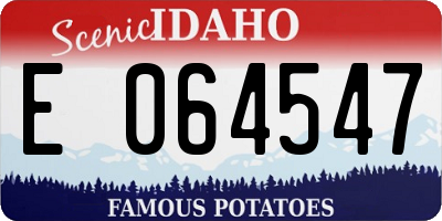 ID license plate E064547