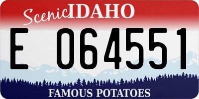 ID license plate E064551