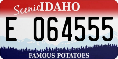 ID license plate E064555