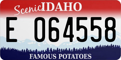 ID license plate E064558