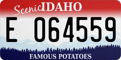 ID license plate E064559