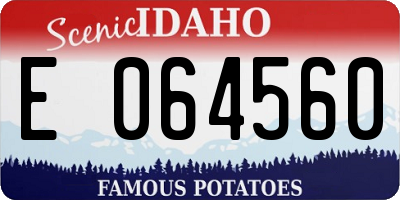 ID license plate E064560