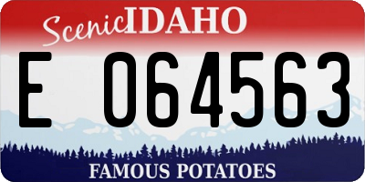 ID license plate E064563