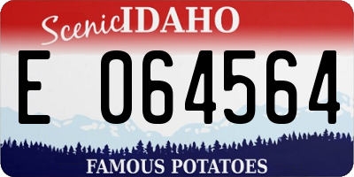 ID license plate E064564