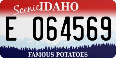 ID license plate E064569