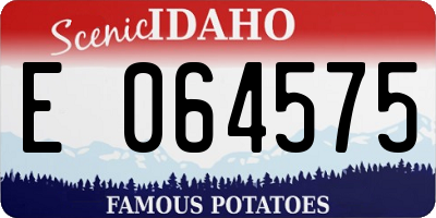 ID license plate E064575