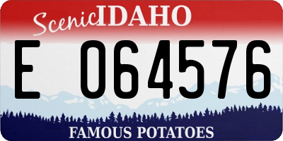 ID license plate E064576