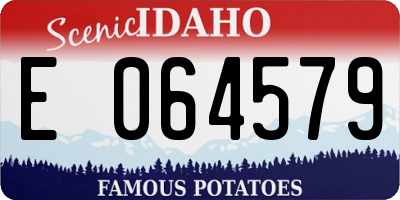 ID license plate E064579