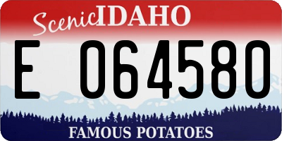 ID license plate E064580