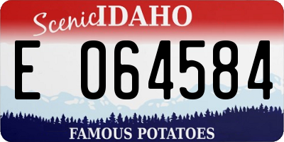 ID license plate E064584