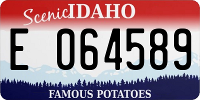 ID license plate E064589
