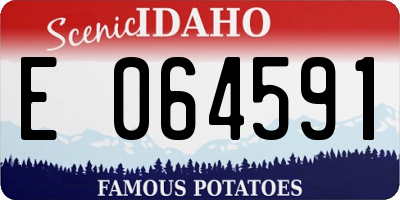 ID license plate E064591
