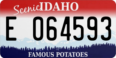 ID license plate E064593