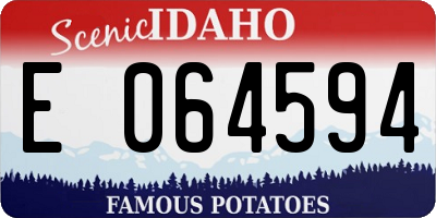 ID license plate E064594