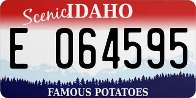 ID license plate E064595