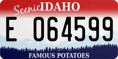 ID license plate E064599